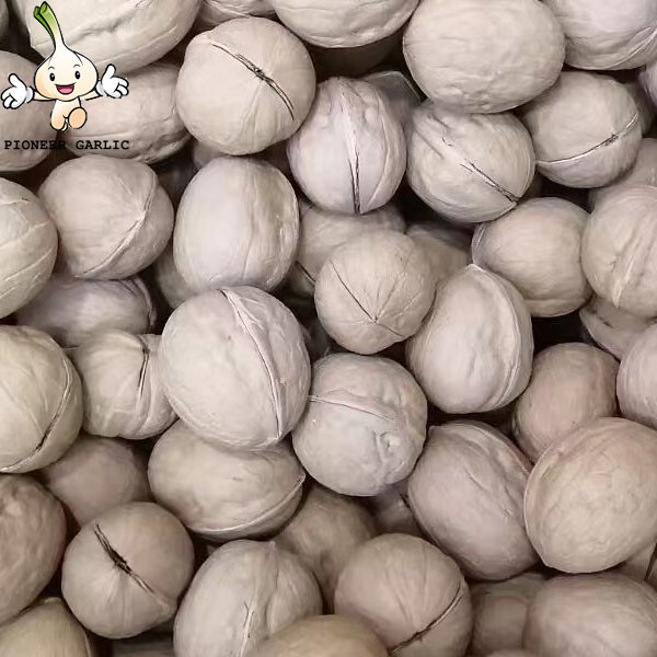 Hot Selling Wholesale China Produce High Nutrition Organic Thin Shell Walnuts