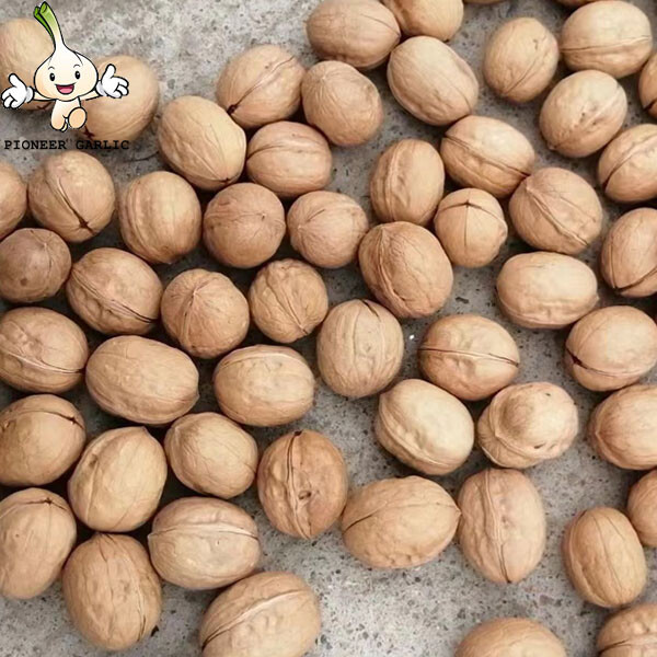 Producto al por mayor vendedor caliente de China/ nueces orgánicas de cáscara fina de alta nutrición