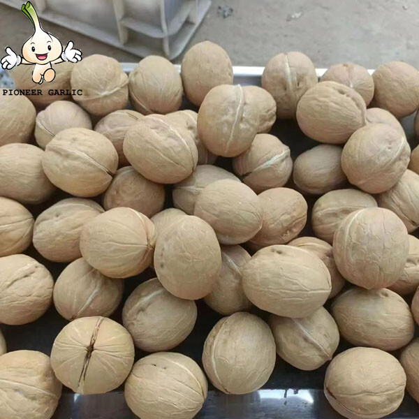 Hot Selling Wholesale China Produce High Nutrition Organic Thin Shell Walnuts