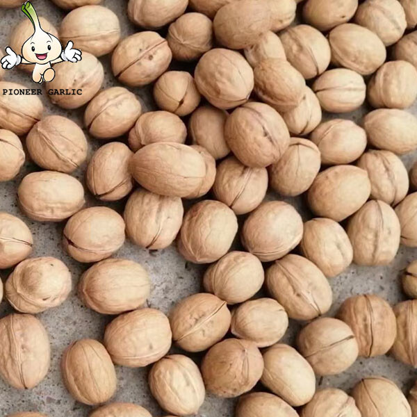 Chinese high quality whole walnut in shell walnut kernels Top Grade Walnuts With Shell Kernel Dried Walnuts