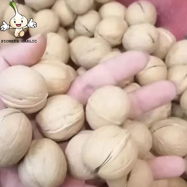 Producto al por mayor vendedor caliente de China/ nueces orgánicas de cáscara fina de alta nutrición