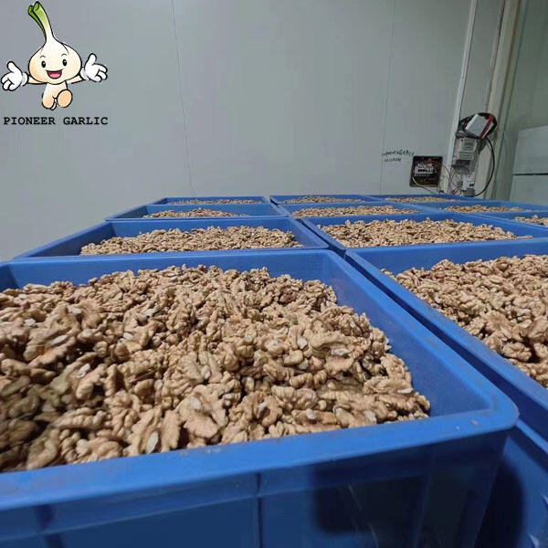 Wholesale Natural Organic Top Grade White Walnuts Peeled Bulk Raw Walnut Kernels Nuts & Kernels