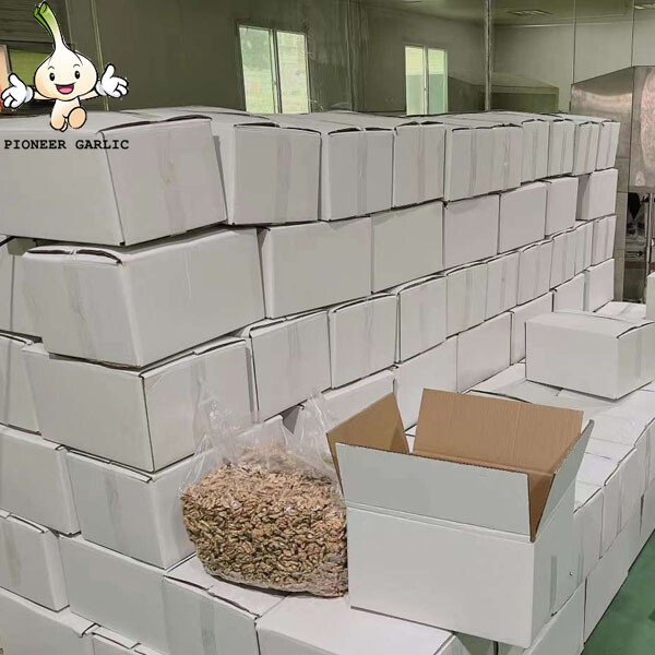 Fábrica de nueces de China Precio al por mayor / Granel 185 Xin 2 Nueces con cáscara y nueces