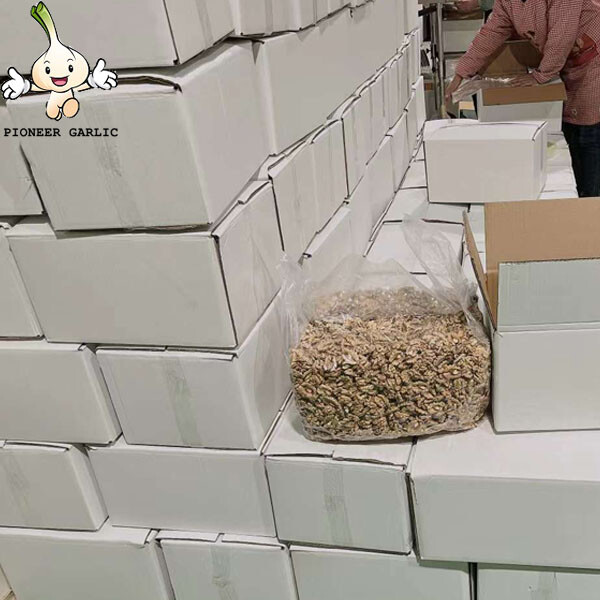 Fábrica de nueces de China Precio al por mayor / Granel 185 Xin 2 Nueces con cáscara y nueces