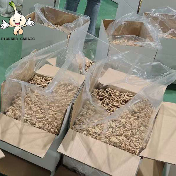 2022 New Crop Walnuts Price Xinjiang 185 Walnut Kernels Without Shell For Sale