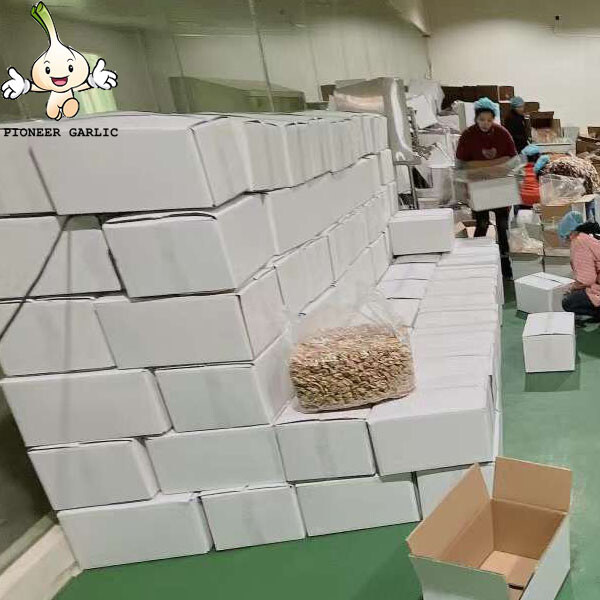China walnuts Factory Wholesale Price Bulk 185 Xin 2 Inshell Walnuts And Walnut Kernels