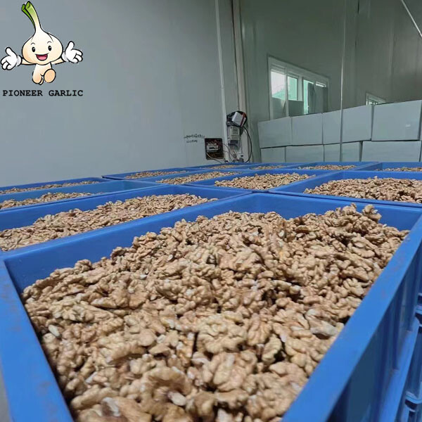 Wholesale Natural Organic Top Grade White Walnuts Peeled Bulk Raw Walnut Kernels Nuts & Kernels