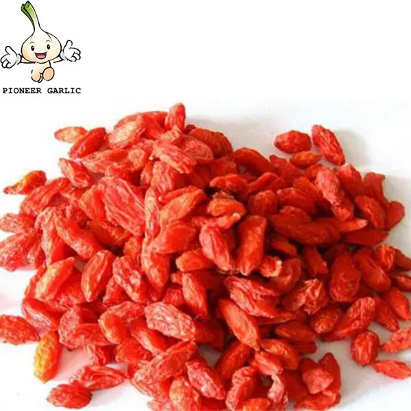 Productos de frutas saludables al por mayor/bayas de goji rojas secas chinas 500g en cajas