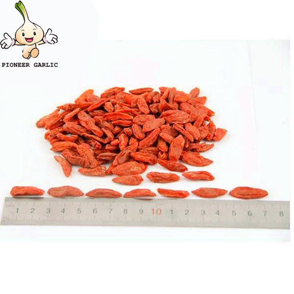 High quality red wolfberry berry dried goji fruit wholesale china