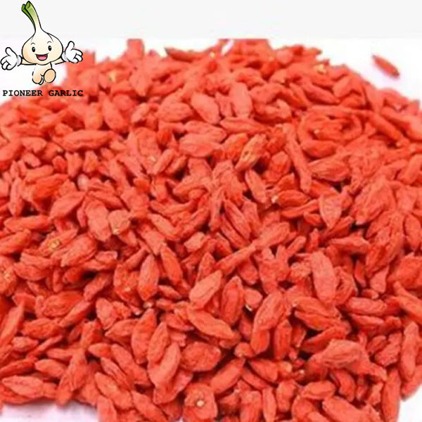 High quality red wolfberry berry dried goji fruit wholesale china