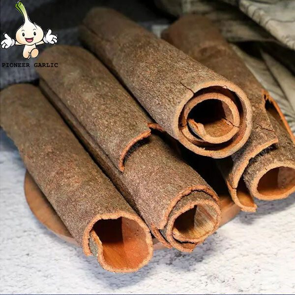 2022 High Quality Cassia Tube Single Herbs and Spices Food Spices Cinnamon Cassia Cassia Stick