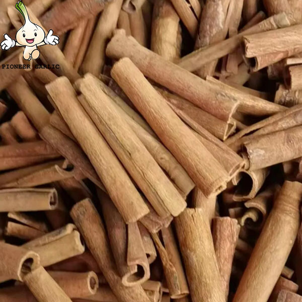 Cinnamon sticks wholesale new arrival cortex cinnamomum cassia 2022 food spice top quality