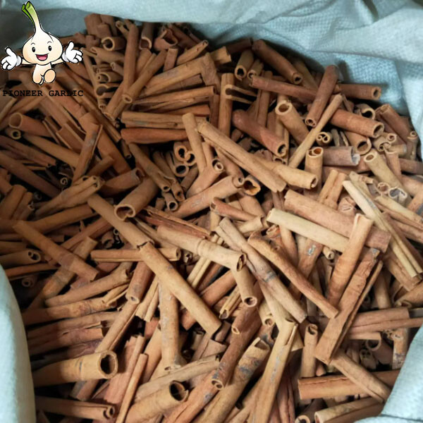 Spice High Quality Spice Natural Forest Wholesale Price Cassia Stick for Cooking Cinnamon