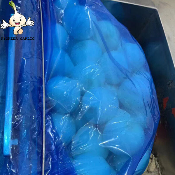 Exportación de bolsa llena de nitrógeno de cebolla pelada fresca de alta calidad