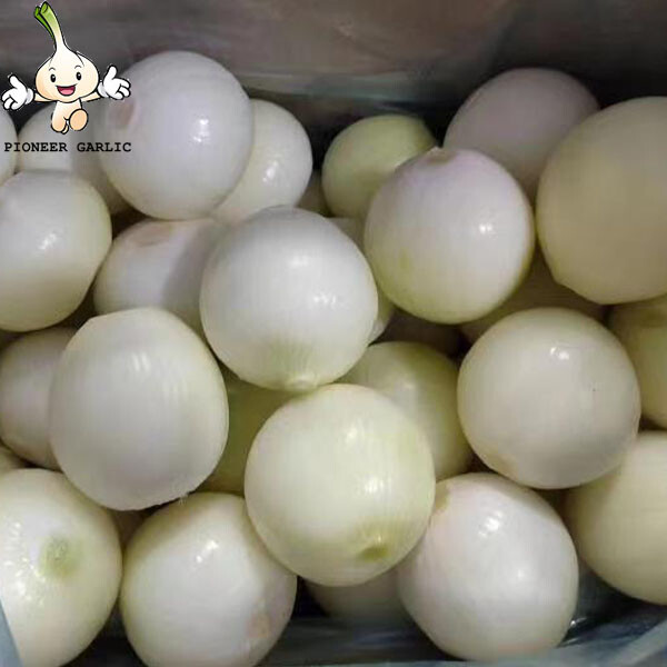 Top quality Fresh Peeled Onion Nitrogen-filled Bag export