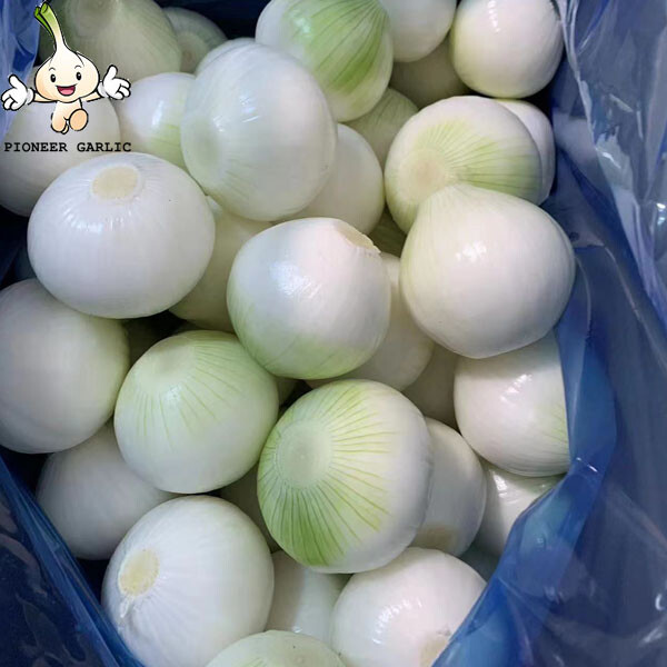 Nueva cosecha Cebolla amarilla roja Verduras frescas Cebolla pelada fresca Bolsa llena de nitrógeno