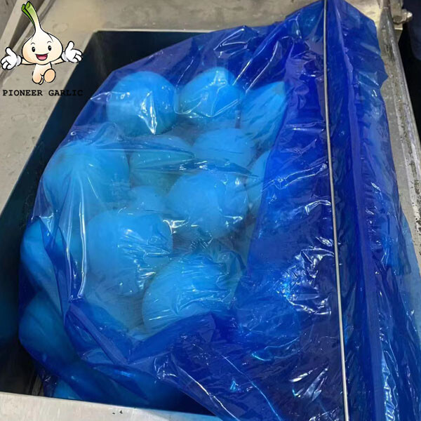 Exportación de bolsa llena de nitrógeno de cebolla pelada fresca de alta calidad