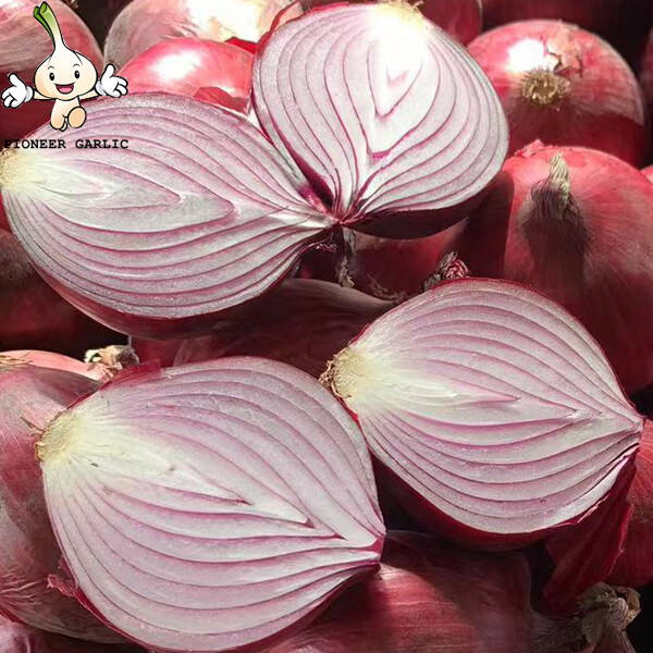 Sweet Red Natural Fresh Onion Bulbs Contains Rich Microelement For Market, The fleshy scales, Light yellow and soft