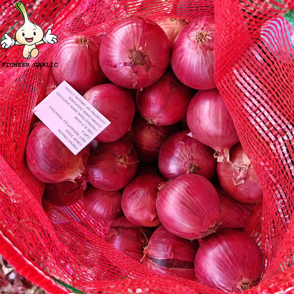 Organic Pure Natural Red Asian Shallot Contains Folate , Zinc