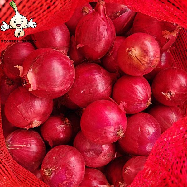 Sweet Red Natural Fresh Onion Bulbs Contains Rich Microelement For Market, The fleshy scales, Light yellow and soft