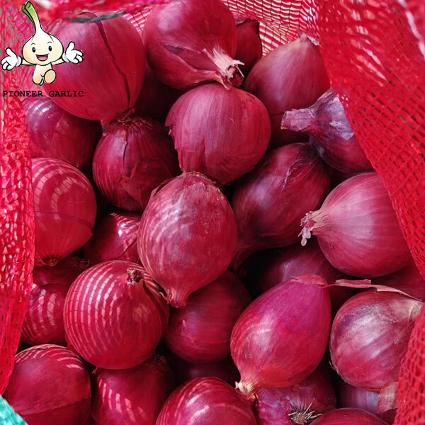 Chinese Fresh Sweet Red Asian Shallots Hybrid Rich In Carbohydrates, anti-bacterial, anti-viral