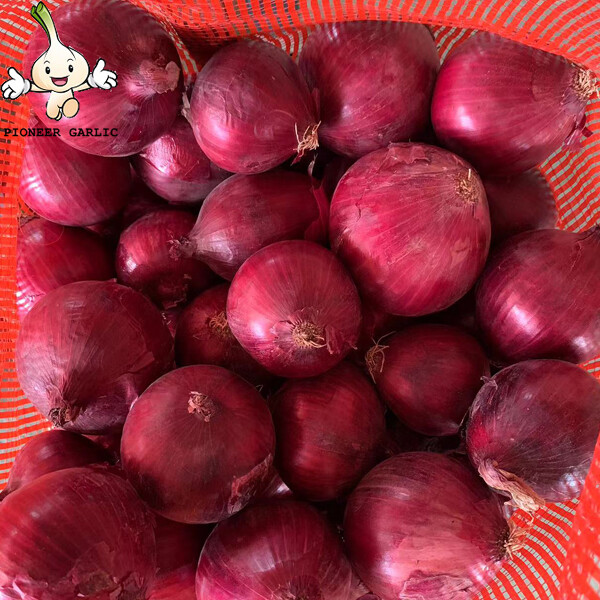 Fresh Red Asian Shallots Containing Vitamin C , Folic Acid For Market, improve immunity