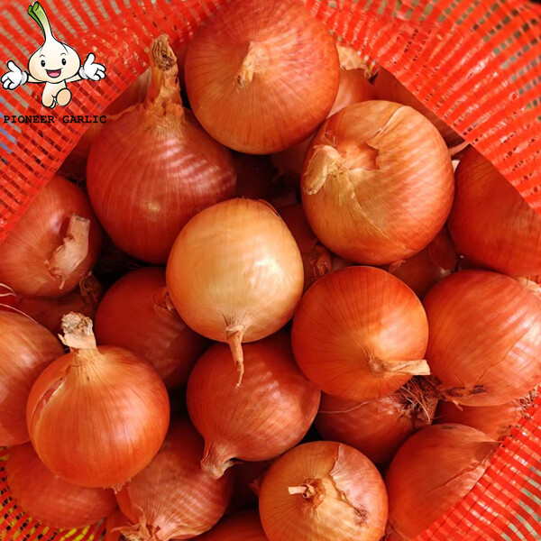 70 - 90mm White Natural Fresh Onion Sweet Round Shape For Hair Loss , Fresh Vegetable, Fine organization, Spicy thick