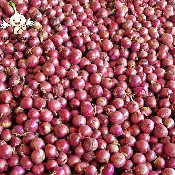 Red Natural Fresh Onion Anti-Cholesterol For Grilling And Char-Broiling, Flat spherical or spherical