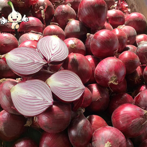 Sweet Red Natural Fresh Onion Bulbs Contains Rich Microelement For Market, The fleshy scales, Light yellow and soft