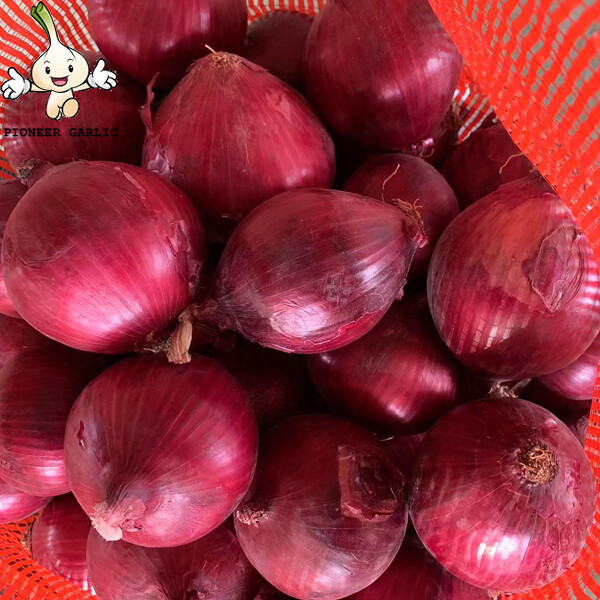 Fresh Red Asian Shallots Containing Vitamin C , Folic Acid For Market, improve immunity