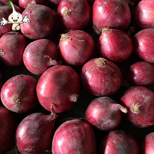 Red Natural Fresh Onion Flate And Round Shape Contains Folic Acid , 50mm - 90mm, onion reddish scales