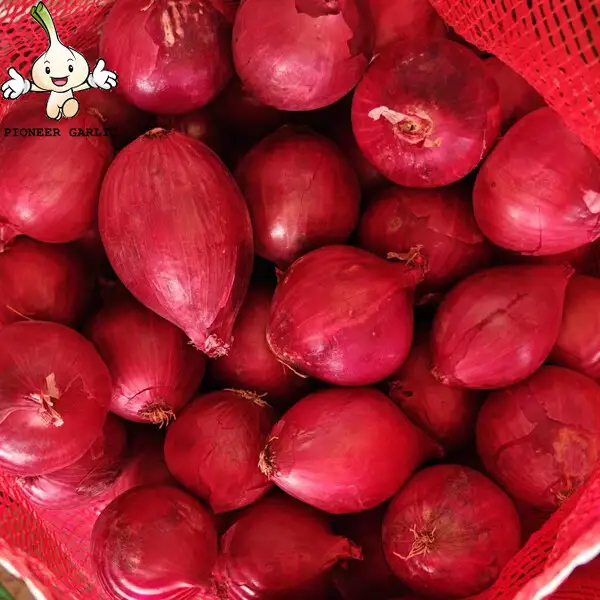 Fresh White / Red Asian Shallots Bulbs Natural / No Pollution