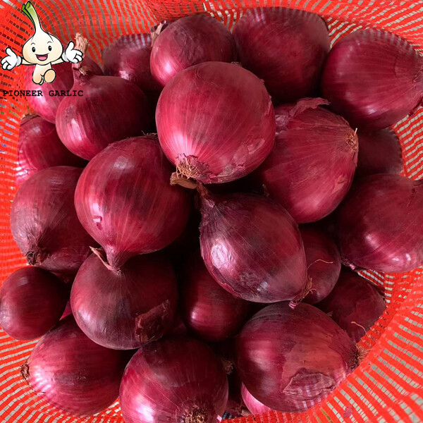 Fresh Red Asian Shallots Containing Vitamin C , Folic Acid For Market, improve immunity