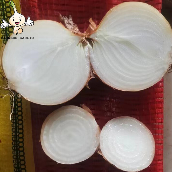 2cm - 5cm Yellow / Red Asian Shallots Round Containing Water , Sugar, spicy pure