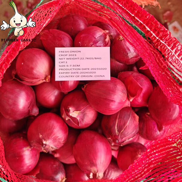 Fresh Vegetable / Red Asian Shallots Contains Flavonoids And Phenols, the strong smell of onion