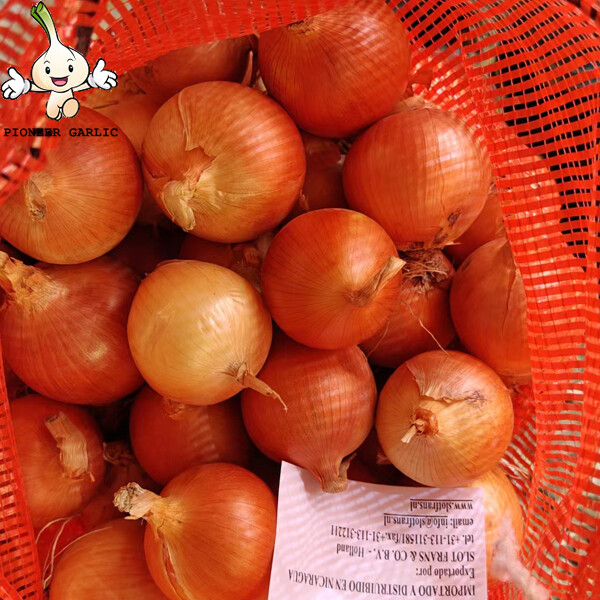 Gansu Yellow Round Natural Fresh Onion