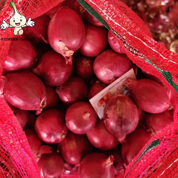 Chinese Fresh Sweet Red Asian Shallots Hybrid Rich In Carbohydrates, anti-bacterial, anti-viral
