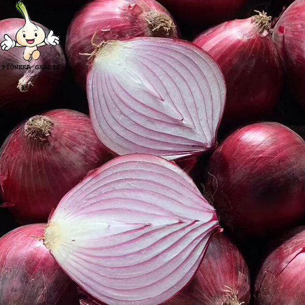 Fresh Red Asian Shallots Containing Vitamin C , Folic Acid For Market, improve immunity